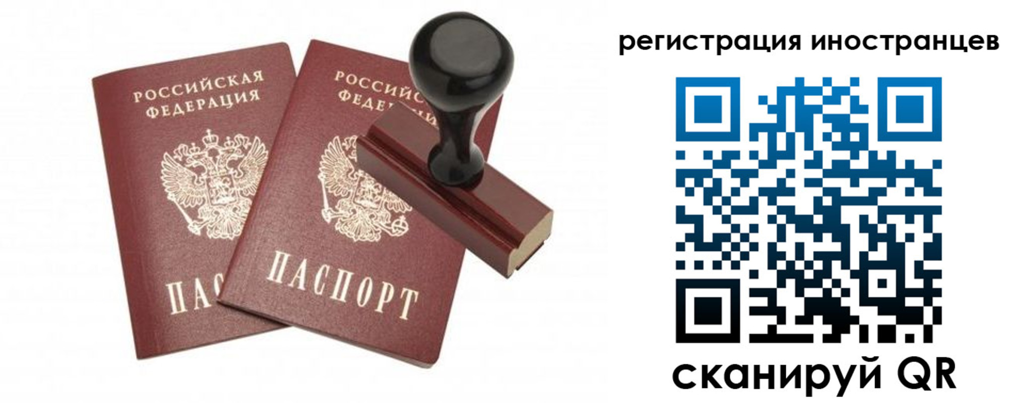 временная регистрация 2025 в Венёве