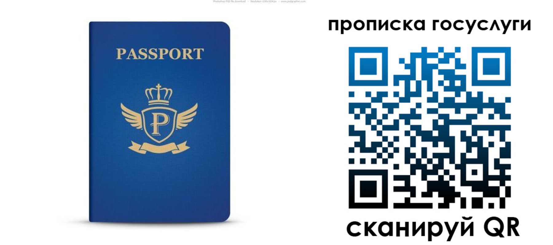 прописка для школы в Венёве